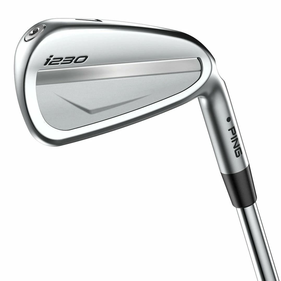 Ping I230 Golf Irons | Steel
